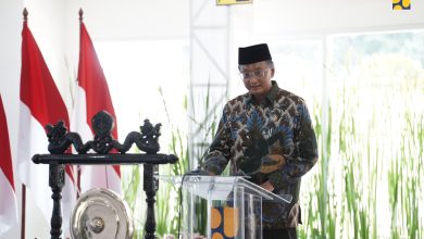FIA UI