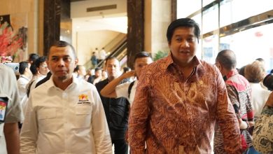 Menteri Ara
