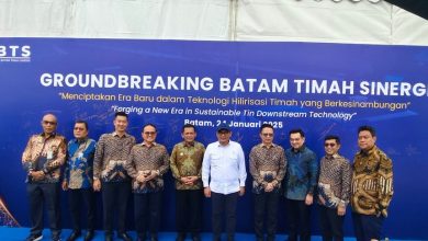 Pabrik Hilirisasi Timah