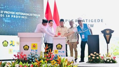 Proyek Strategis Ketenagalistrikan