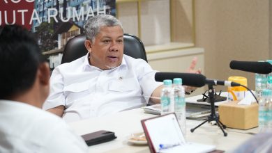 Fahri Hamzah