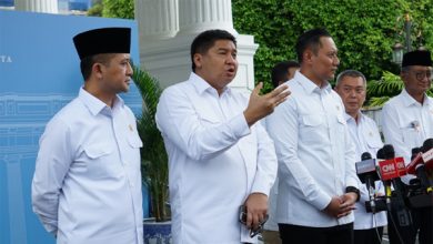 Menteri Ara