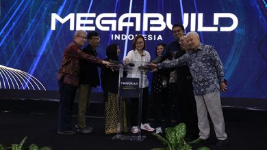 Megabuild