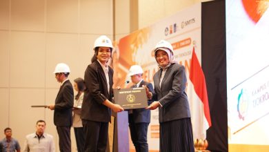 Program PSPPI ITS
