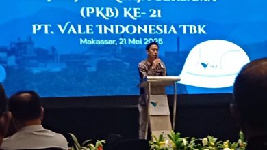 PT Vale Indonesia