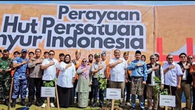 HUT PII ke-73