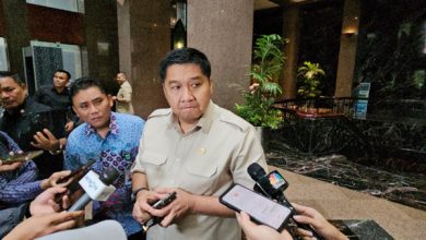 Menteri Ara