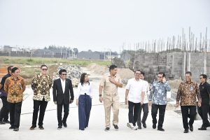 BTN