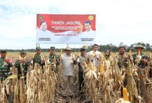 Presiden RI Prabowo Subianto