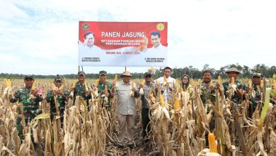 Presiden RI Prabowo Subianto