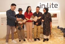 in-Lite