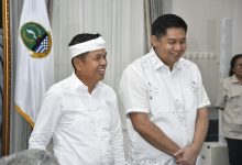 Dedi Mulyadi