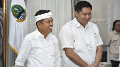 Dedi Mulyadi
