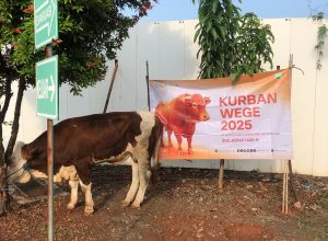 WEGE Salurkan Bantuan Hewan Kurban di Momen Idul Adha 2025.