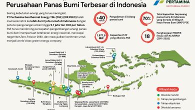 Pertamina Geothermal Energy