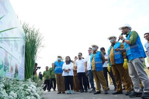SIG Pabrik Tuban