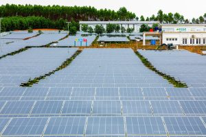 Smart Sustainable Forest City