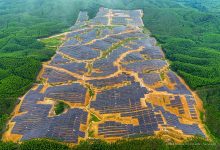 Smart Sustainable Forest City