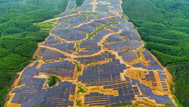 Smart Sustainable Forest City