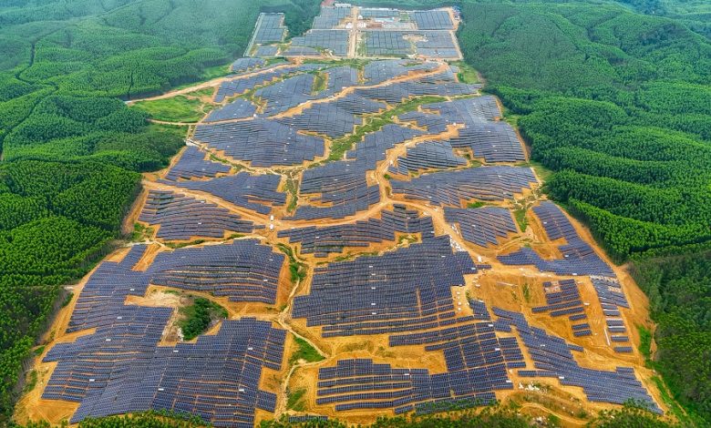 Smart Sustainable Forest City
