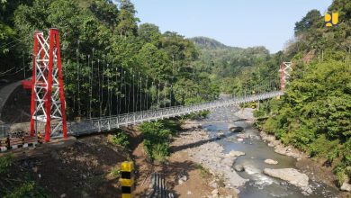 Jembatan gantung PU