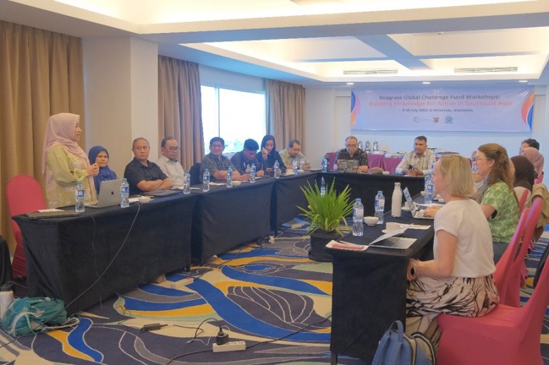 Seagrass Global Challenge Fund Workshop