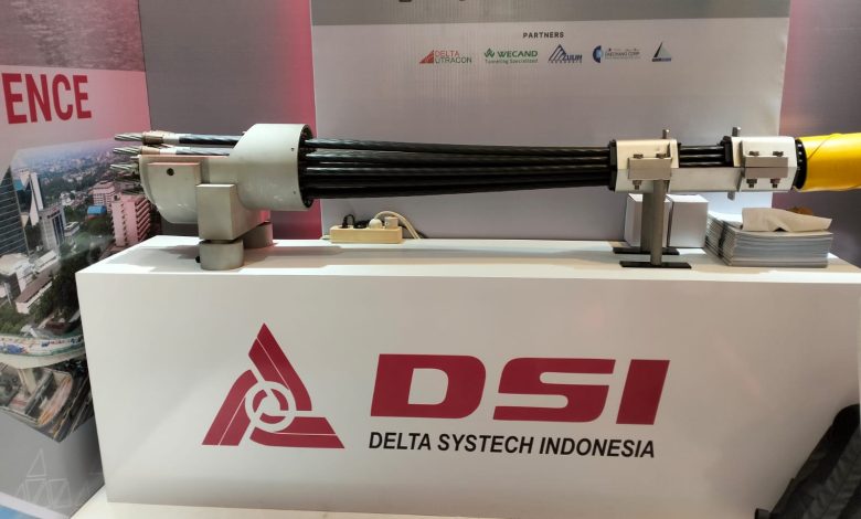 Cable Stay DSI