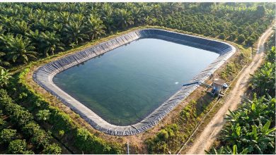 Geomembran - Petrane Geosynthetic Solution