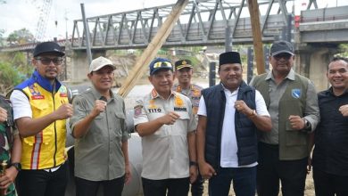 Jembatan Krueng Tingkem